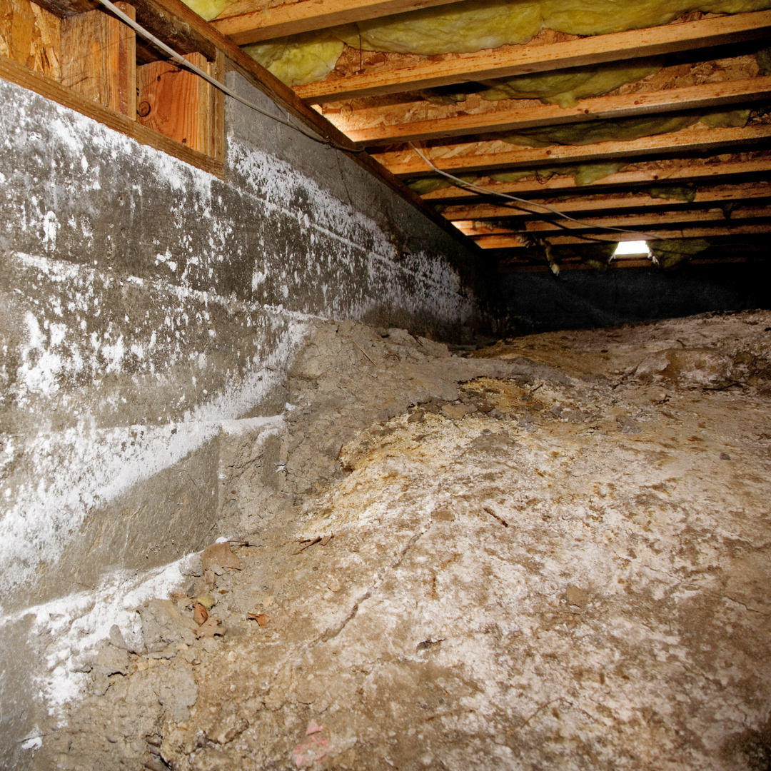 Clog Heroes - Crawl Space Sump Pump