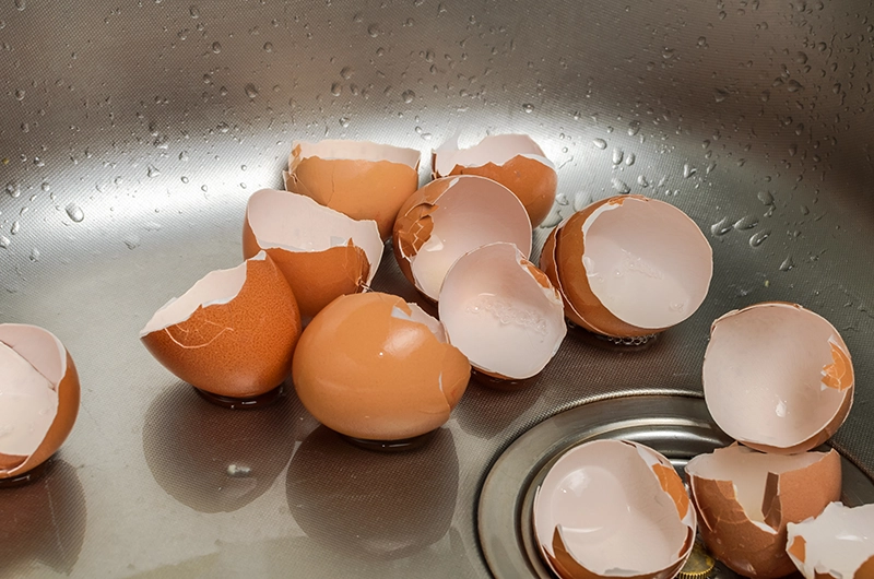 Clog Heroes - Egg Shells in Garbage Disposal Clog Heroes - Egg Shells in Garbage Disposal