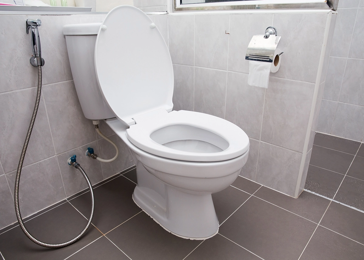 pressure assisted toilet